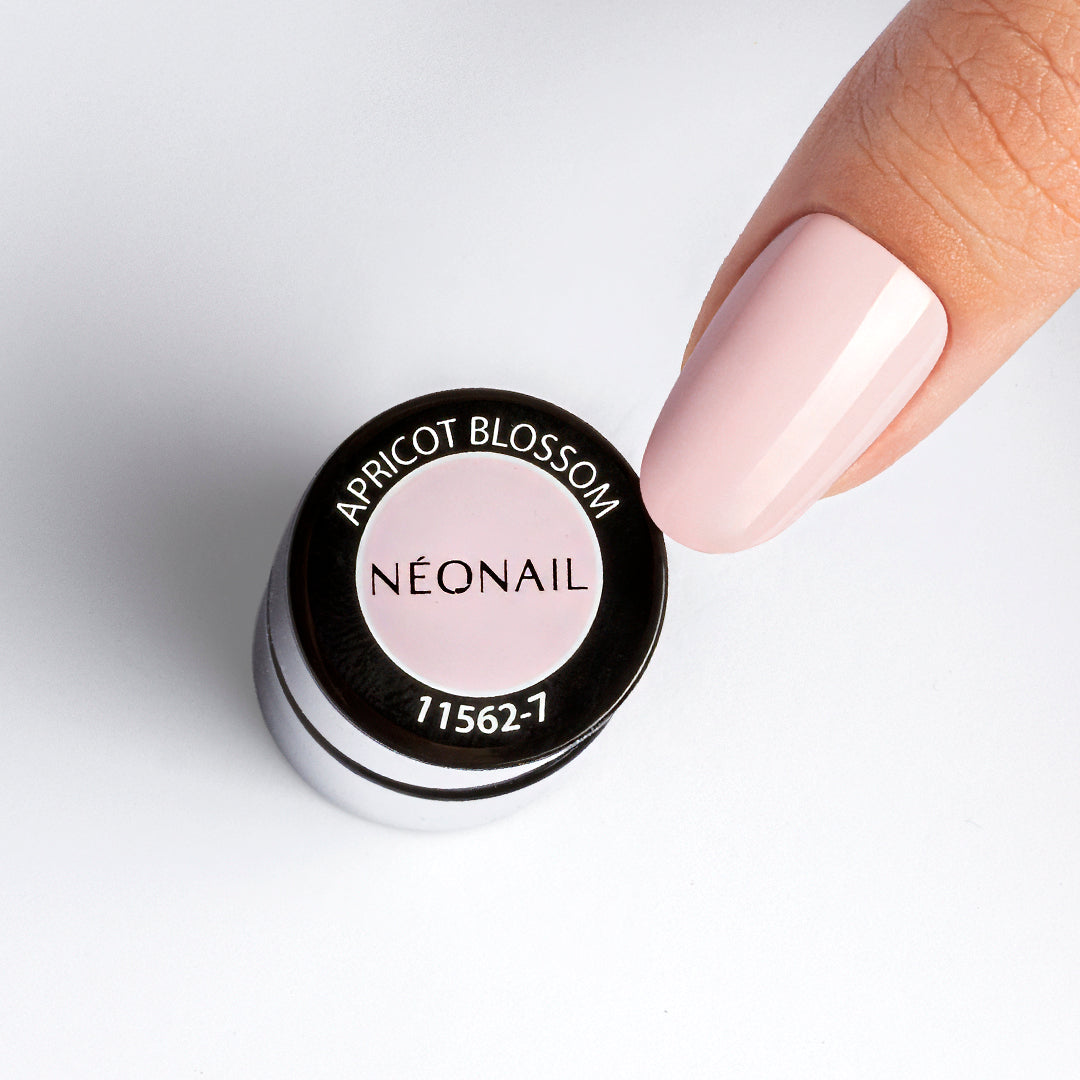 Apricot Blossom 7,2ml