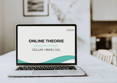 Online theorie