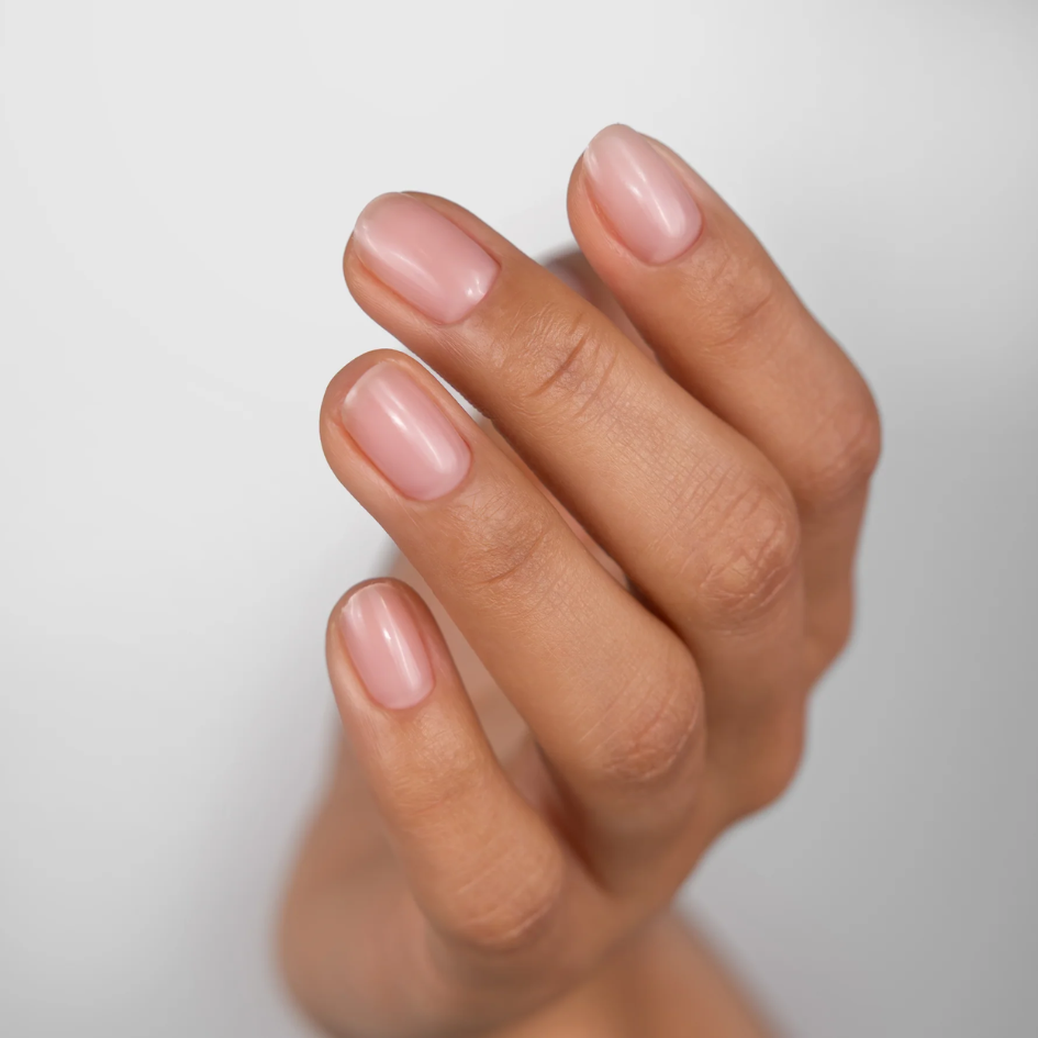 Gummy Rubber Base BISCUIT 15ml