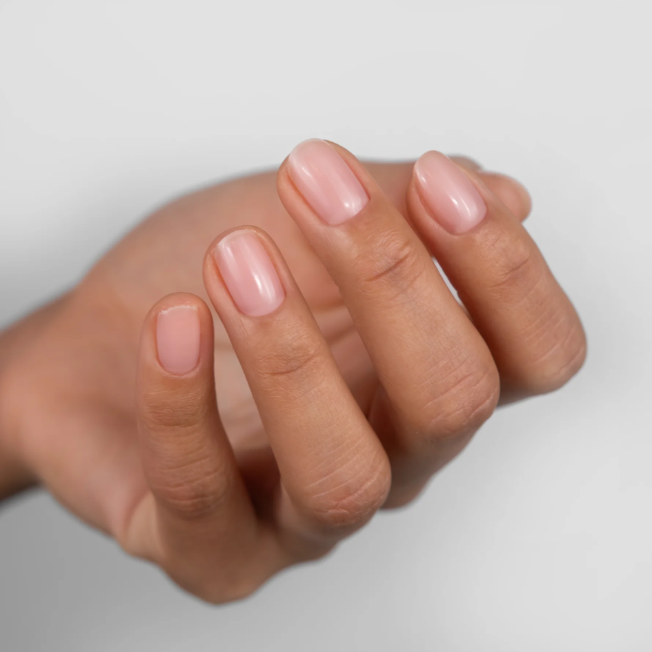 Gummy Rubber Base BISCUIT 15ml