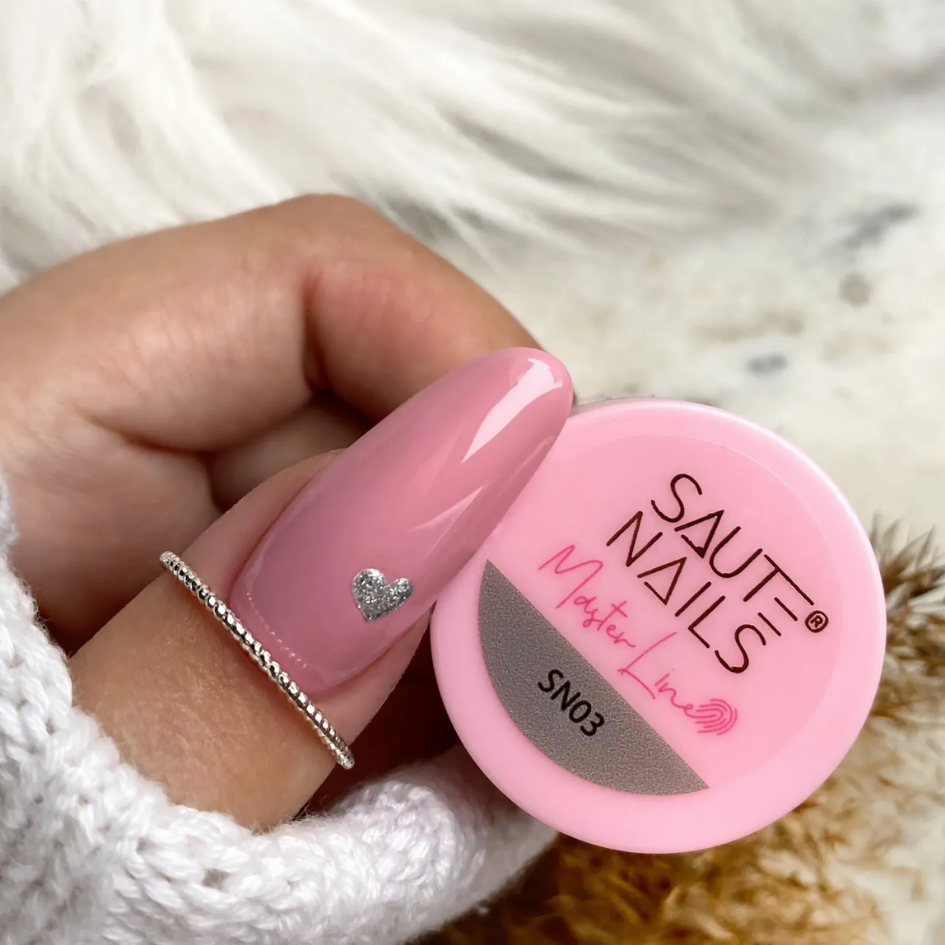 Gelpaint Master Line Silver 5g