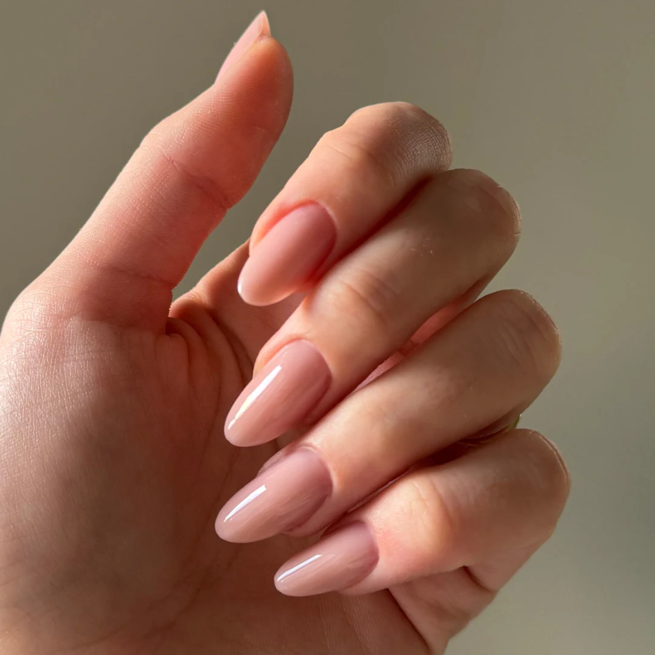 Sandwich Forms Square/Coffin