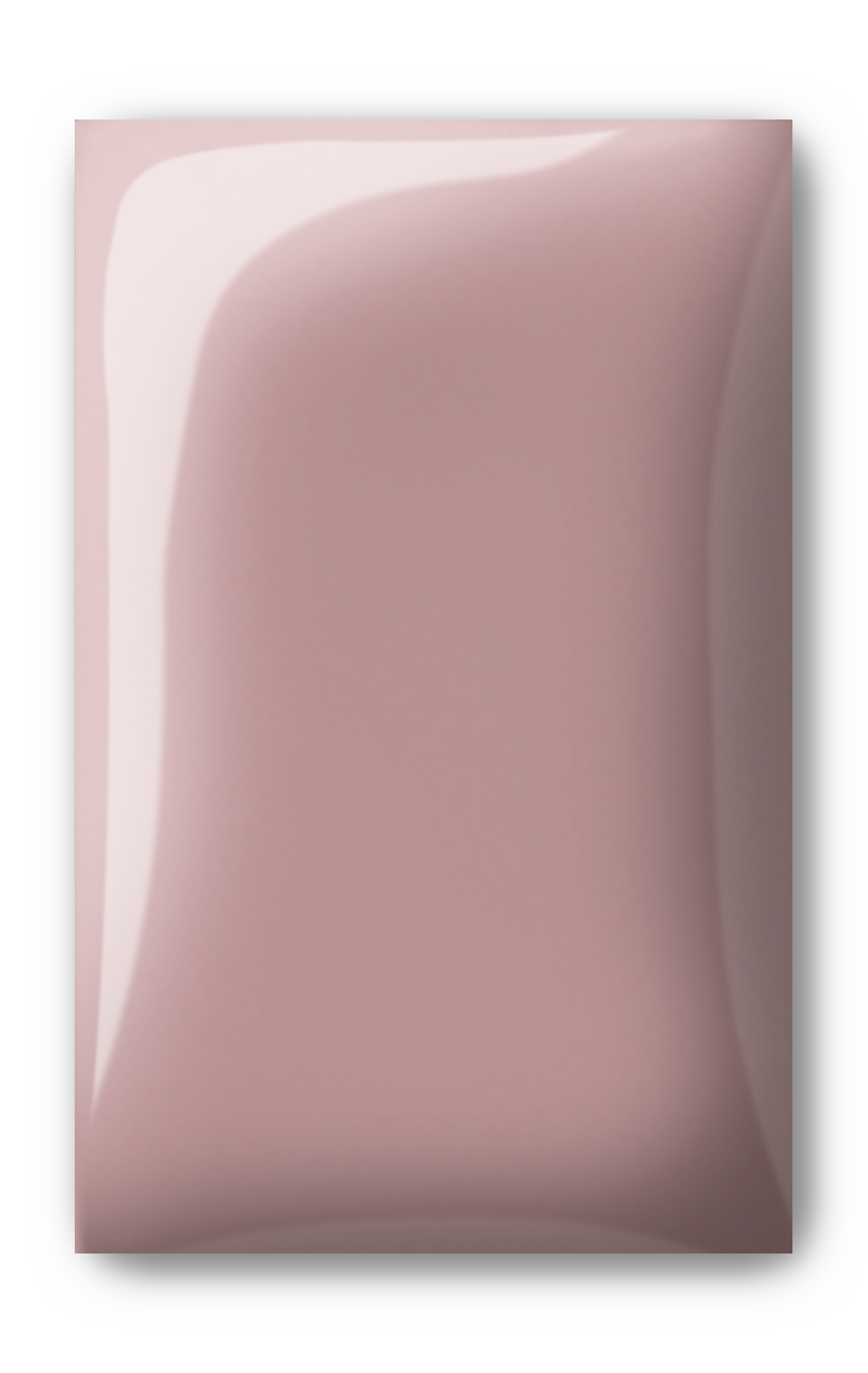 P+ Pencils & Paint Brushes