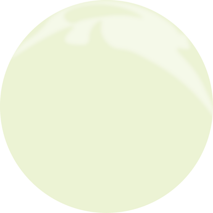 Gel Polish N°211 MEADOW BREEZE 10ml