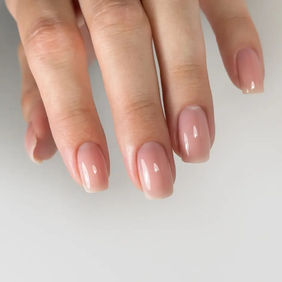 Fiber Base SAIN 15ml