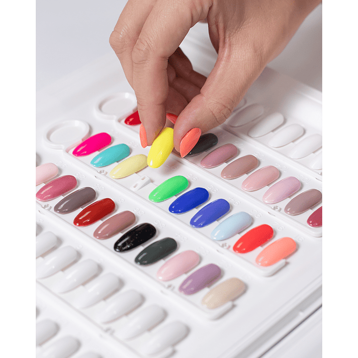 Color Mother Swatch Book With Tips & Swatch Strip