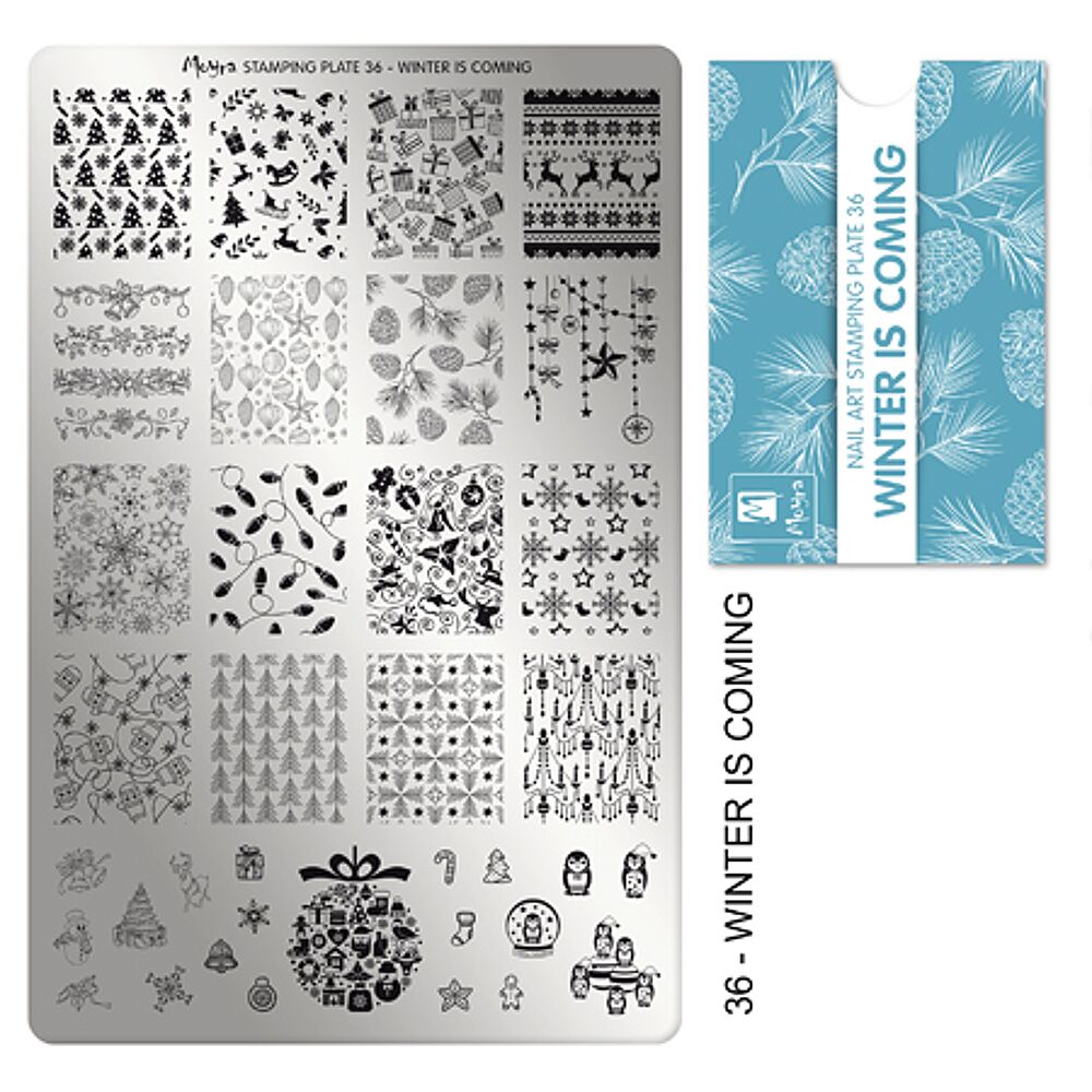 Stamping Plate Winter Is Coming 1