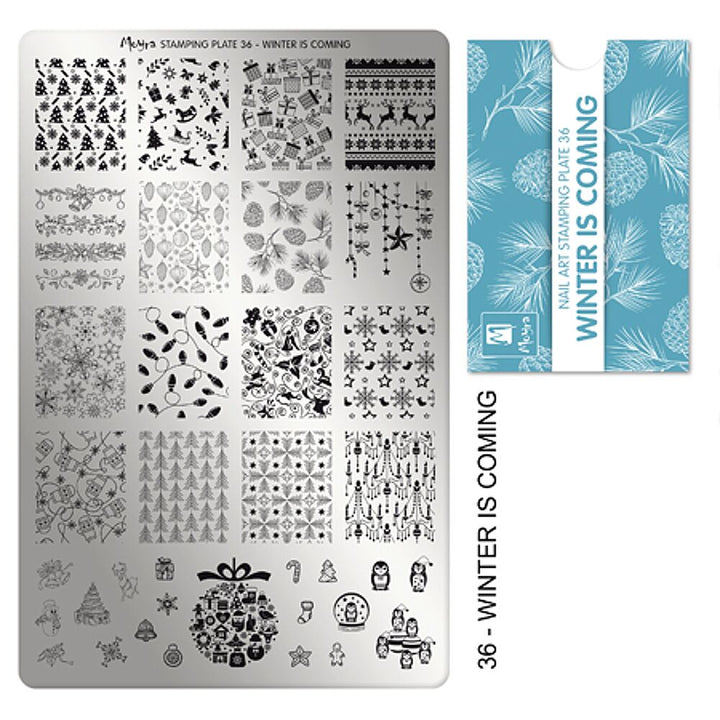 Stamping Plate Winter Is Coming 1