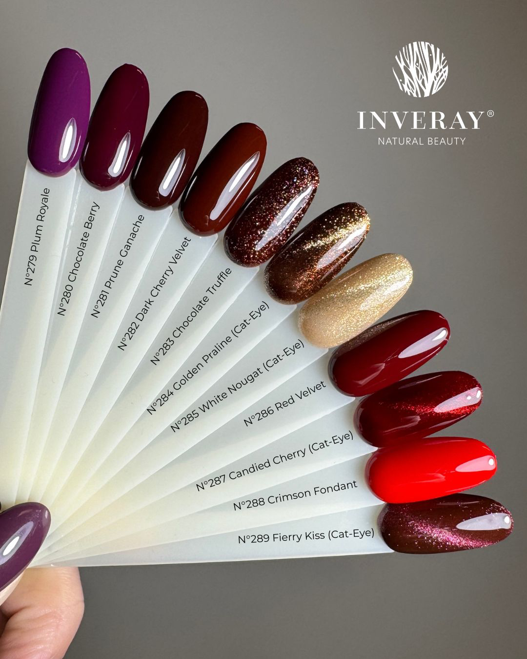 Gel Polish N°281 PRUNE GANACHE 10ml