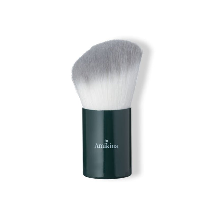 Dust Brush