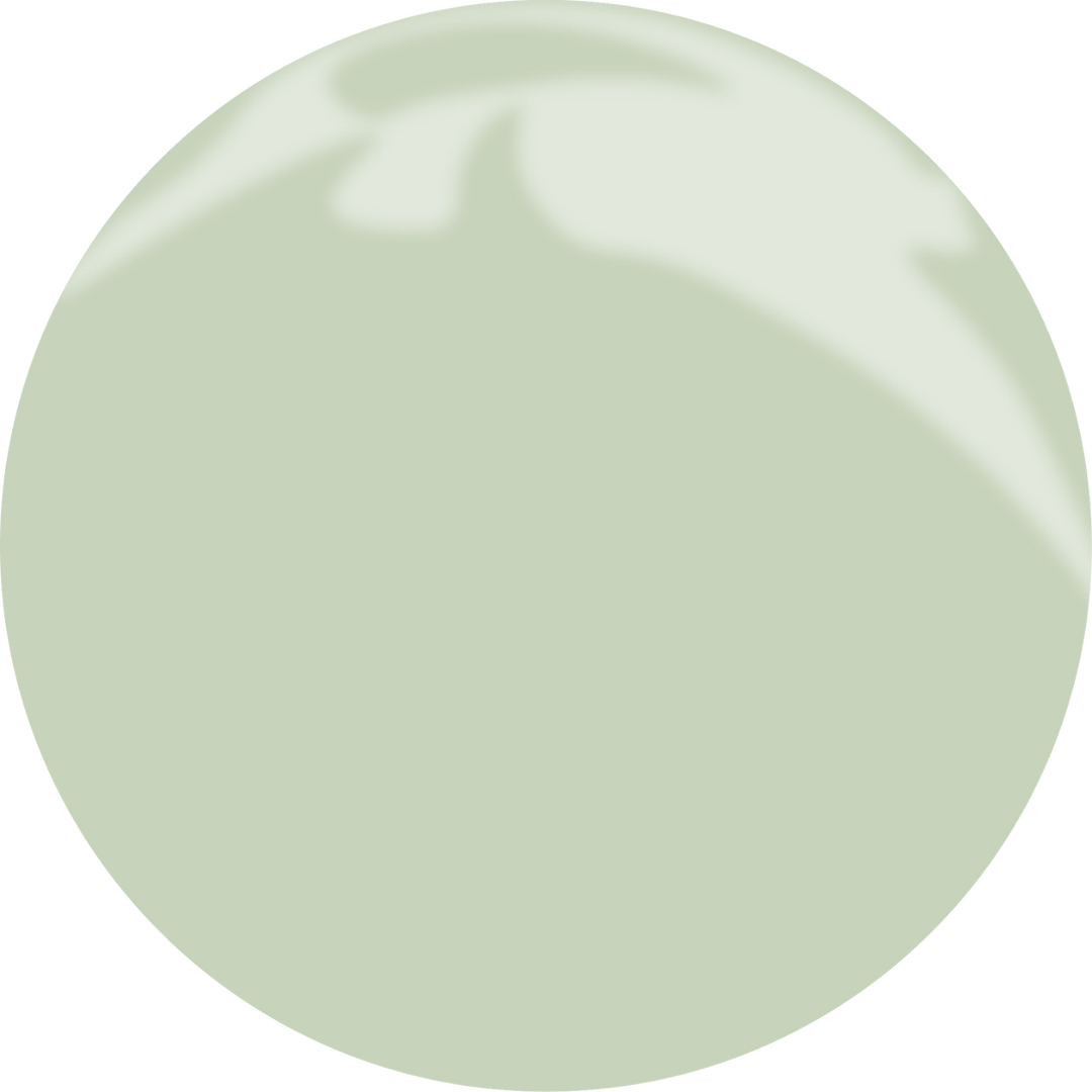 Gel Polish N°203 WHISPER OF SPRING 10ml