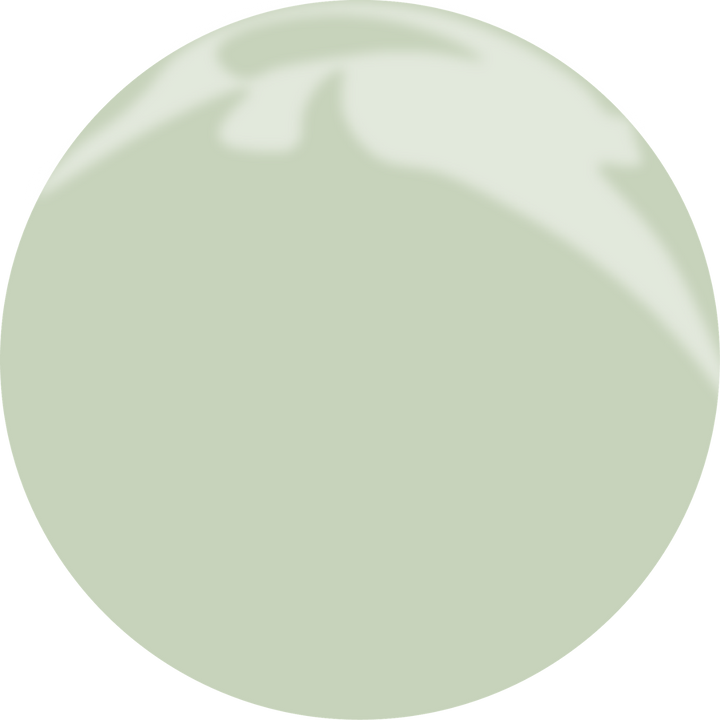 Gel Polish N°203 WHISPER OF SPRING 10ml